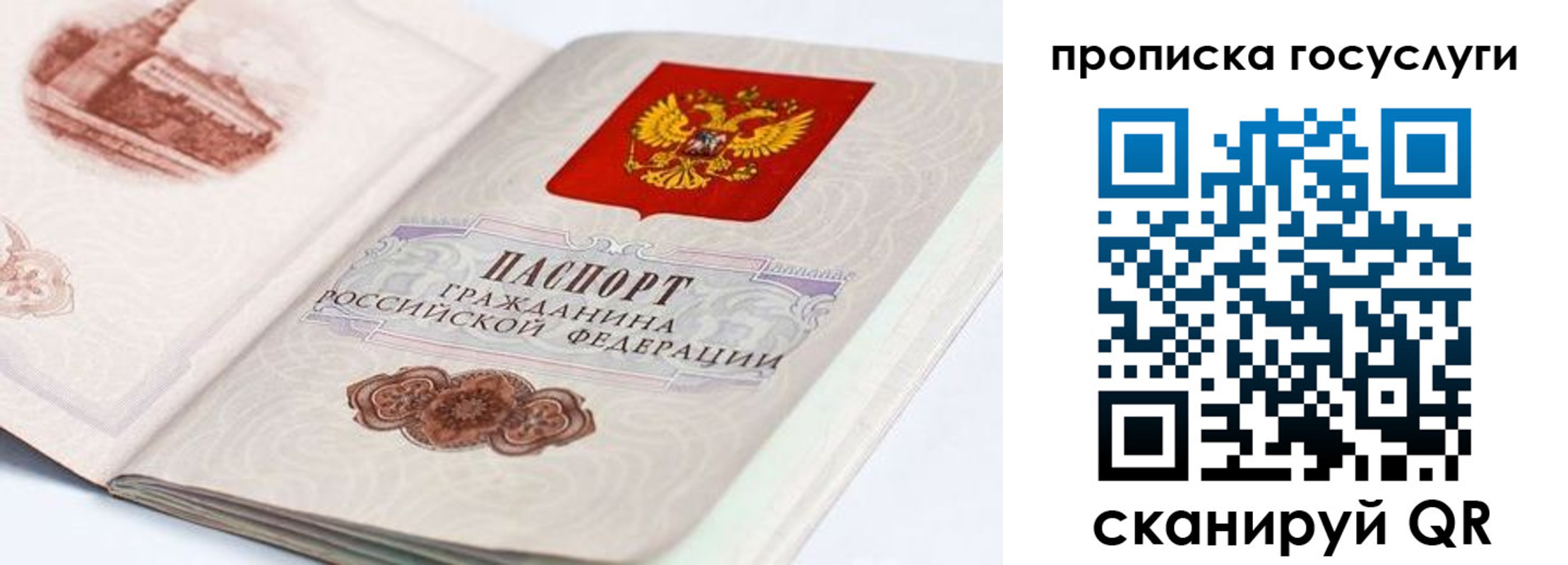 прописка гарантия в Петушках